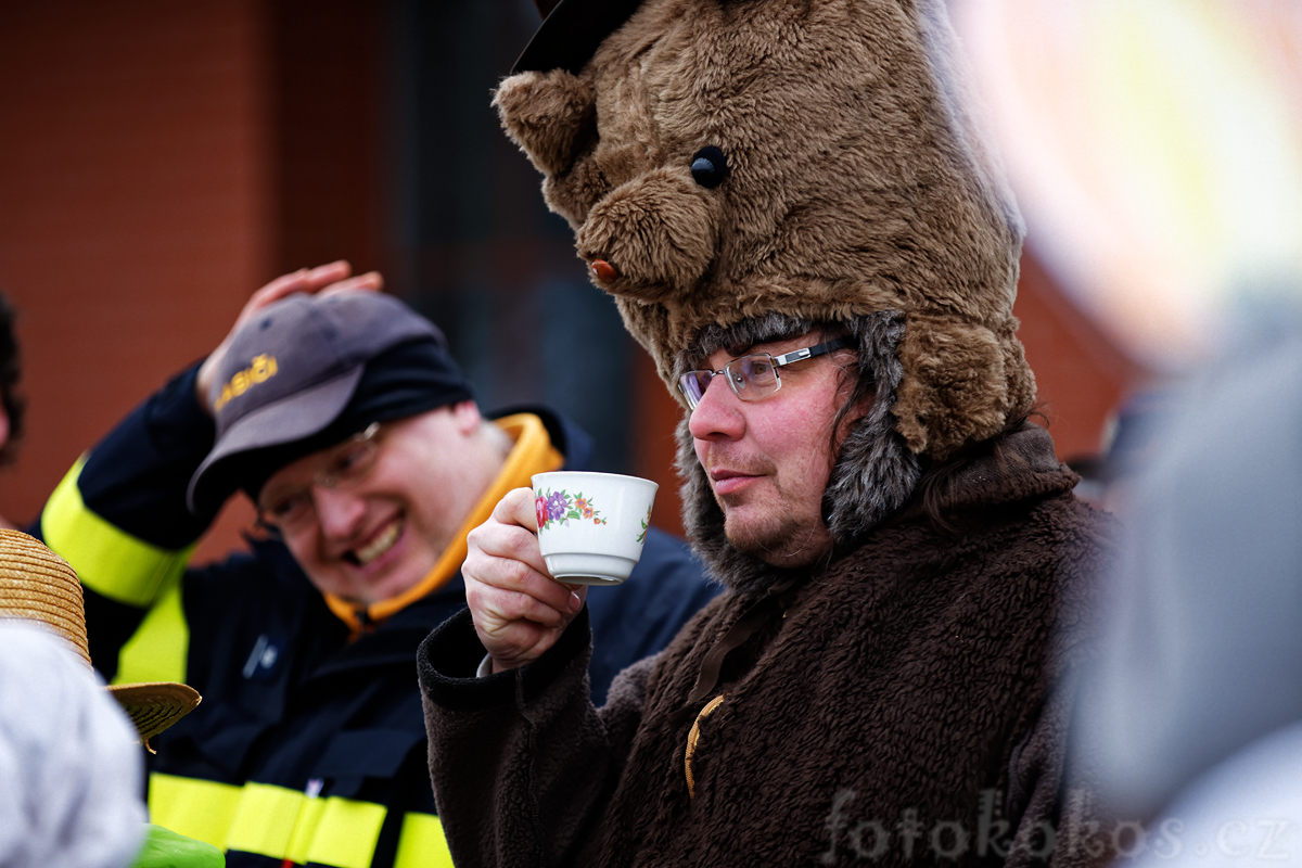 medvěd si dává čaj